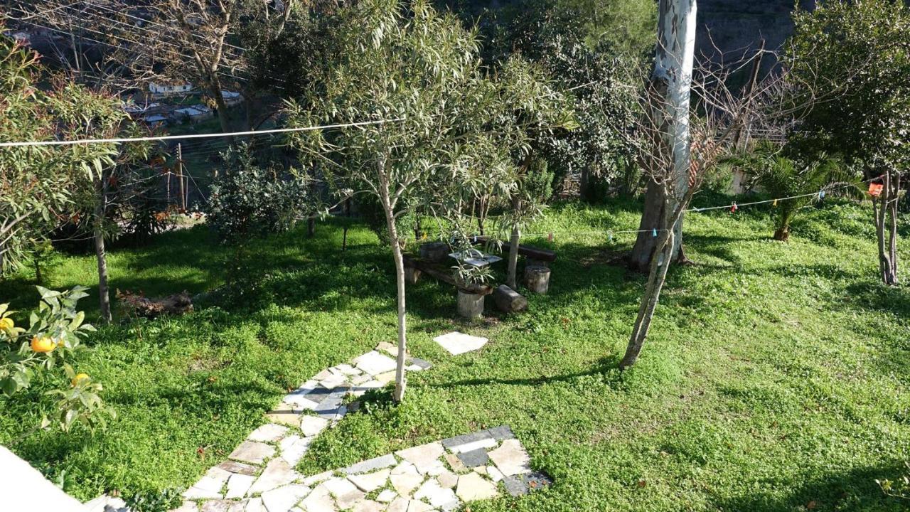 The Old Olive Mill House Villa Aegae Eksteriør billede